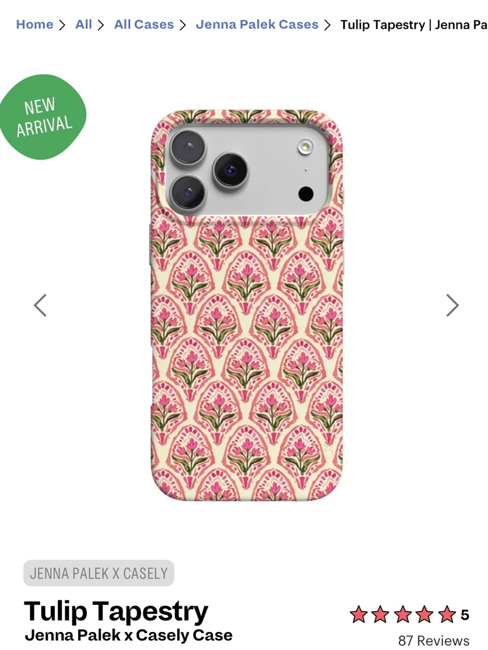 Jenna Palek x Casely Tulip Tapestry MagSafe iPhone 17 Pro Case – NEW